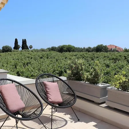 Assini View